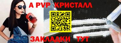 шишки Гай