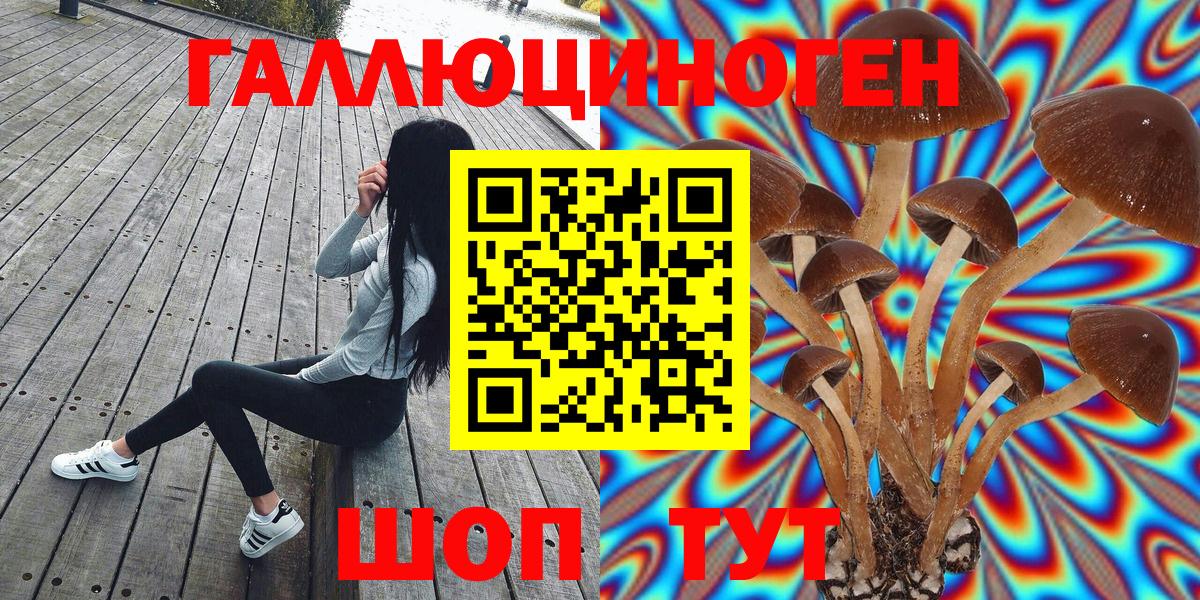 Псилоцибиновые грибы прущие грибы  Псилоцибиновые грибы MAGIC MUSHROOMS  цена наркотик  Нижний Новгород  Вход с VPN 