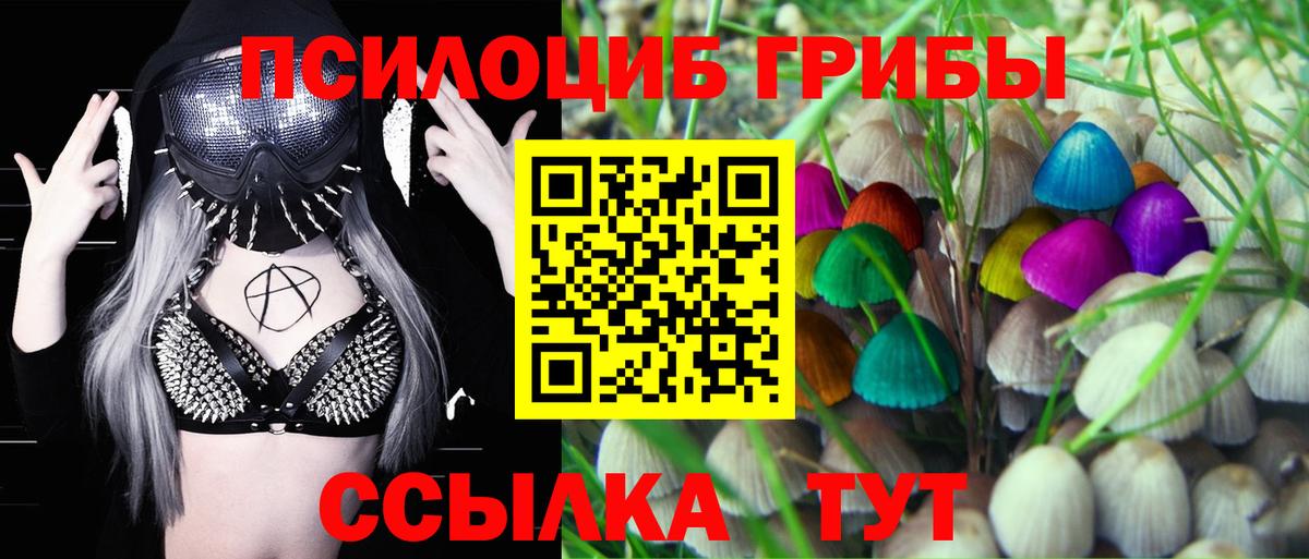 Галлюциногенные грибы Cubensis Нижний Новгород